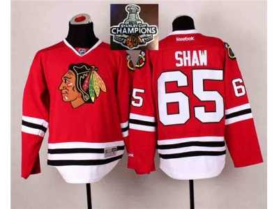 NHL Chicago Blackhawks #65 Andrew Shaw Red 2014 Stadium Series 2015 Stanley Cup Champions jerseys